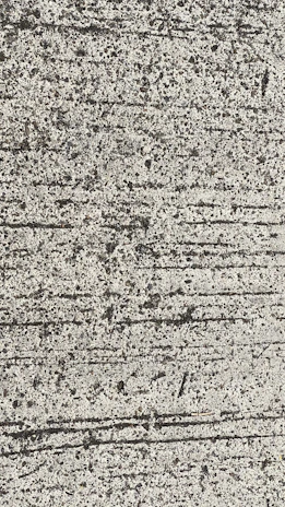 Close-up of smooth, freshly poured concrete surface ready for finishing.