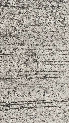 Close-up of smooth, freshly poured concrete surface ready for finishing.