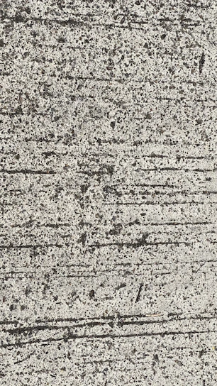 Close-up of smooth, freshly poured concrete surface ready for finishing.