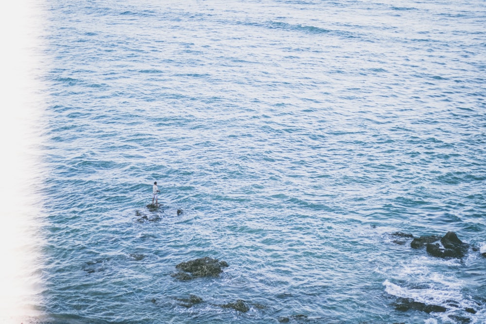 Person im Wasser während des Tages