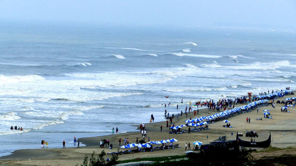 people on beach during daytime