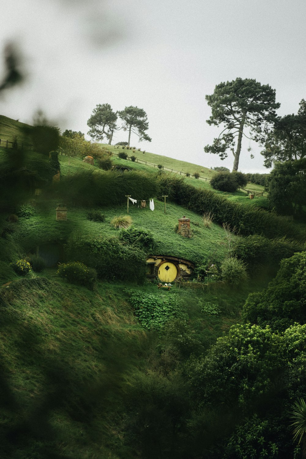 Auto gialla sul campo di erba verde durante il giorno