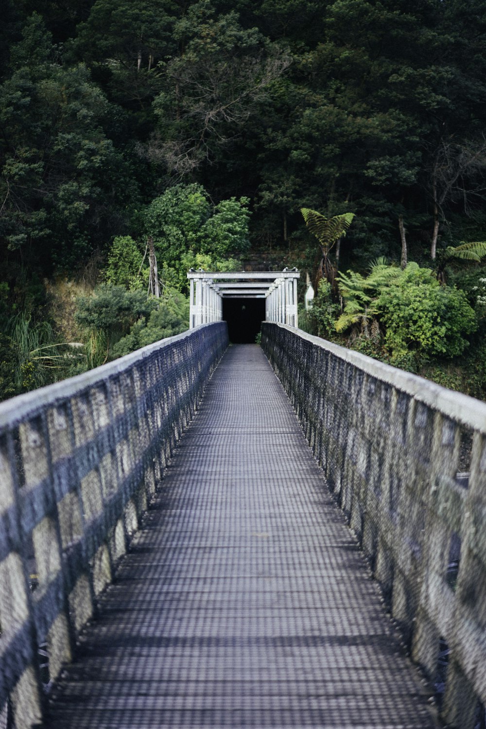 gray wooden bridge between green trees during daytime