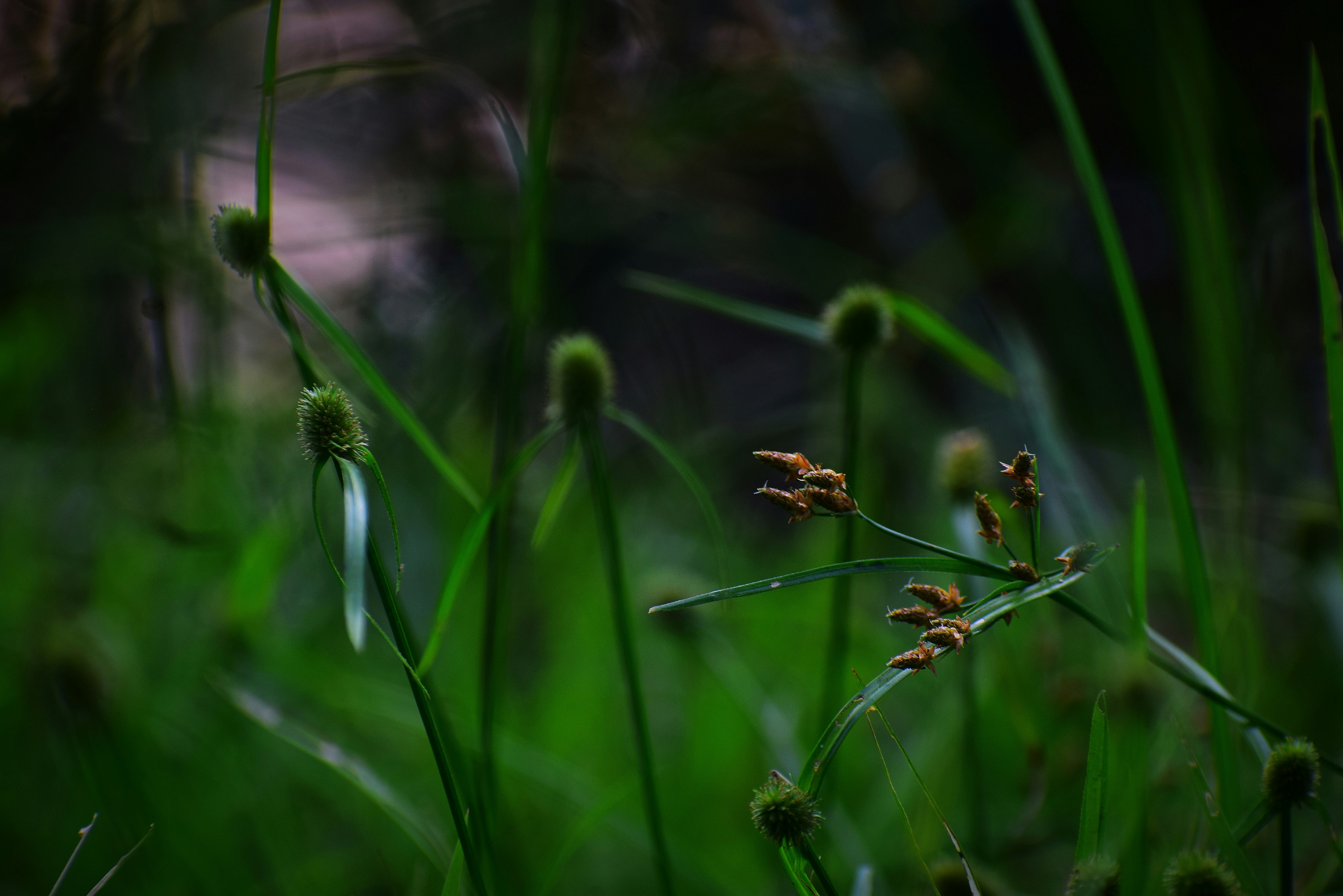 Photo by rockroy3263