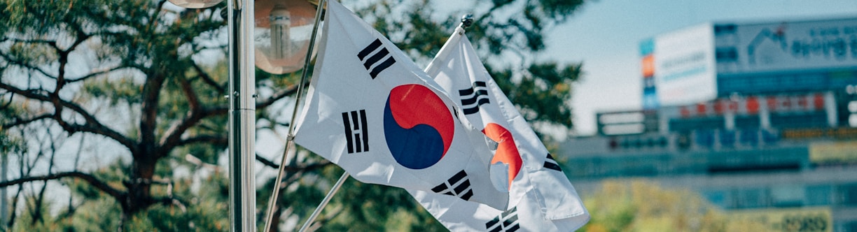 South Korea Flag