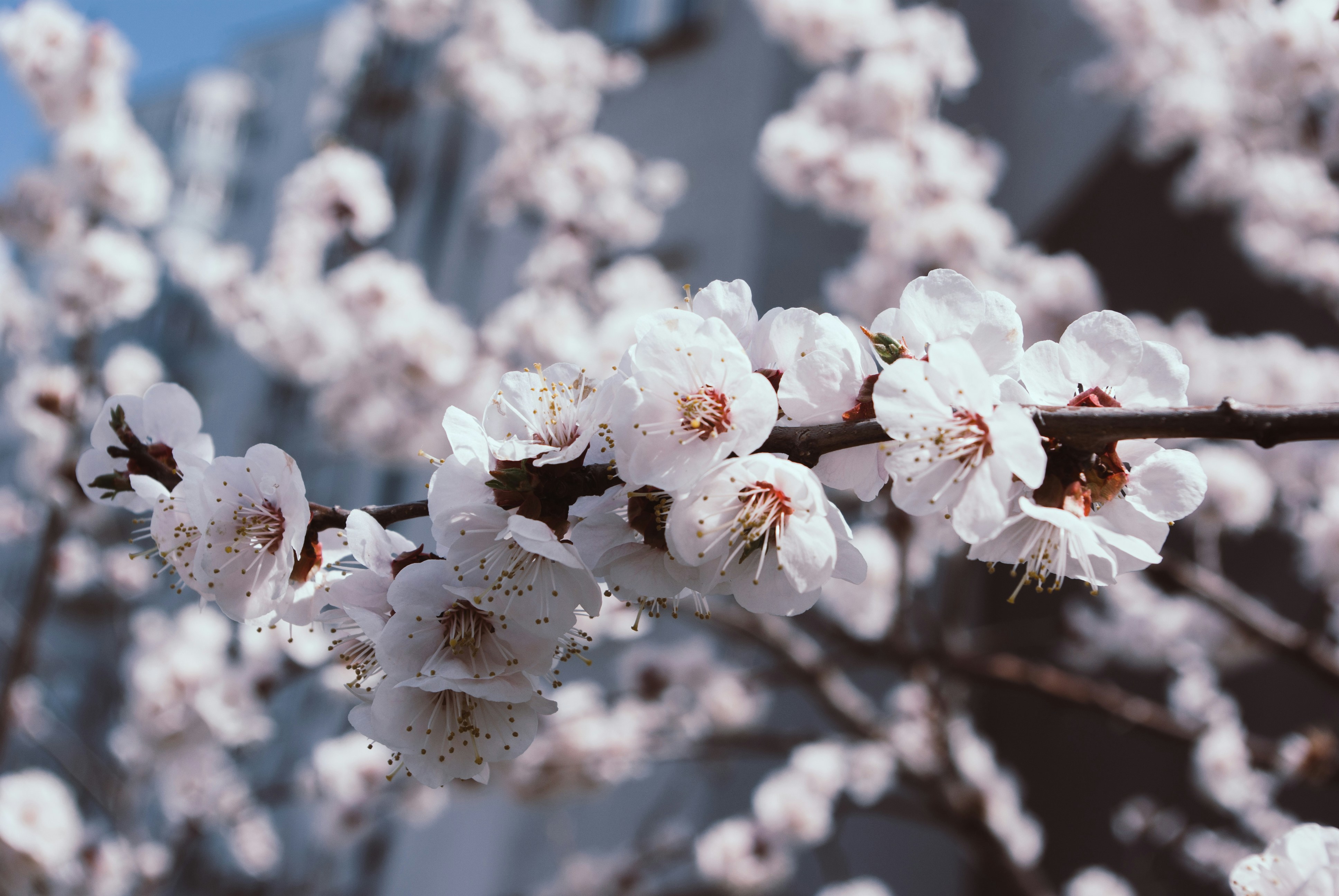 Photo by moonmoons_days