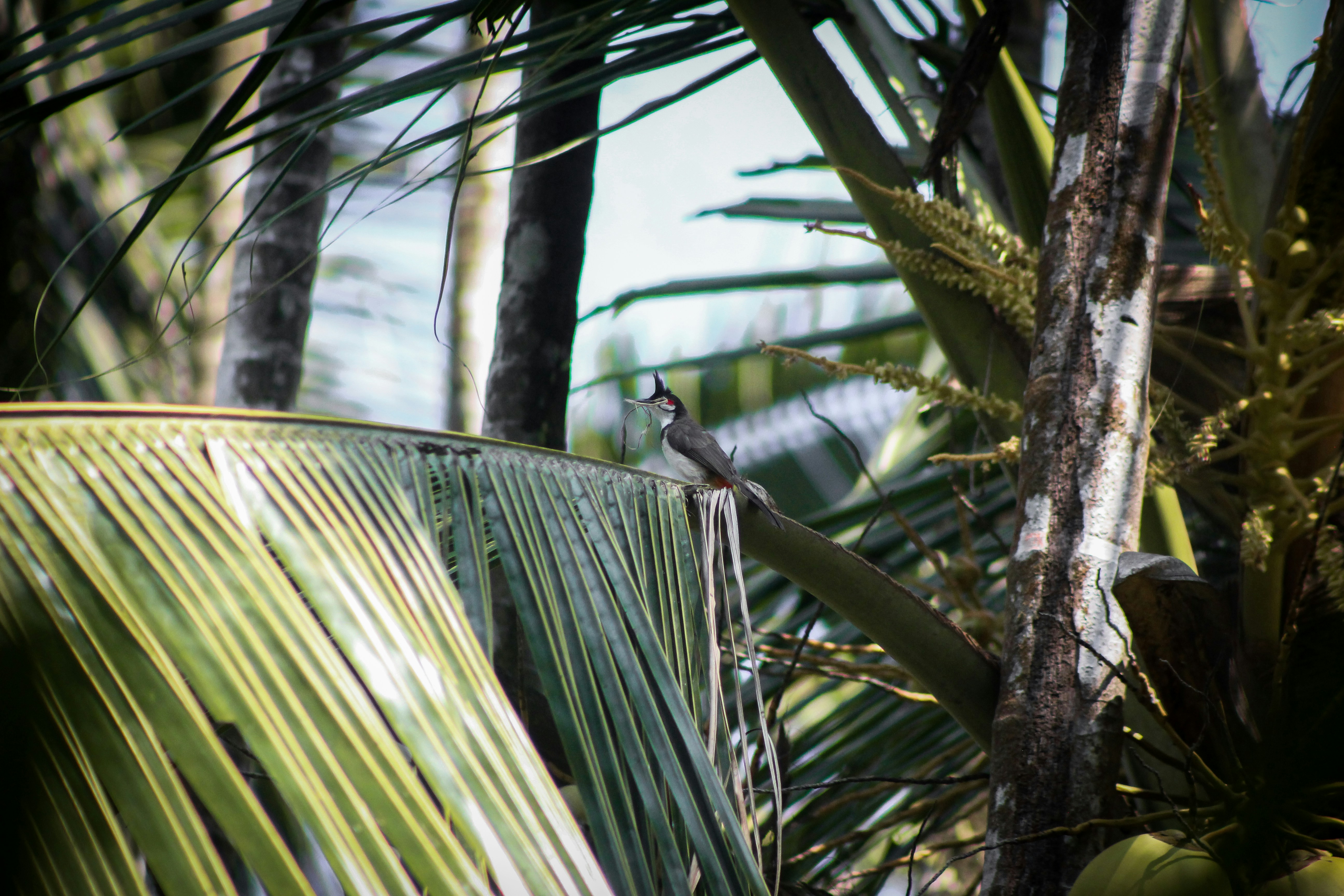 Photo by chief__parker