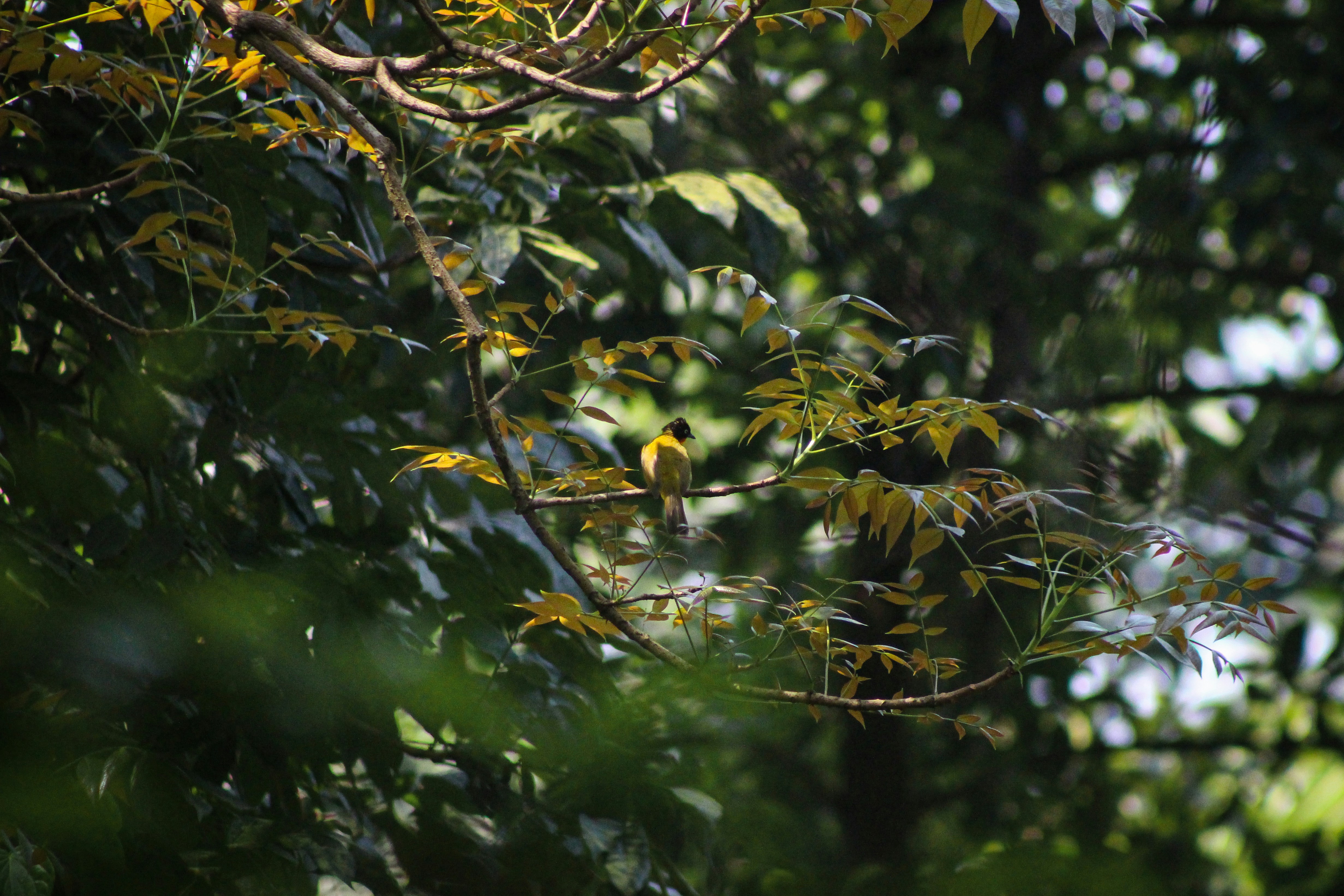 Photo by chief__parker