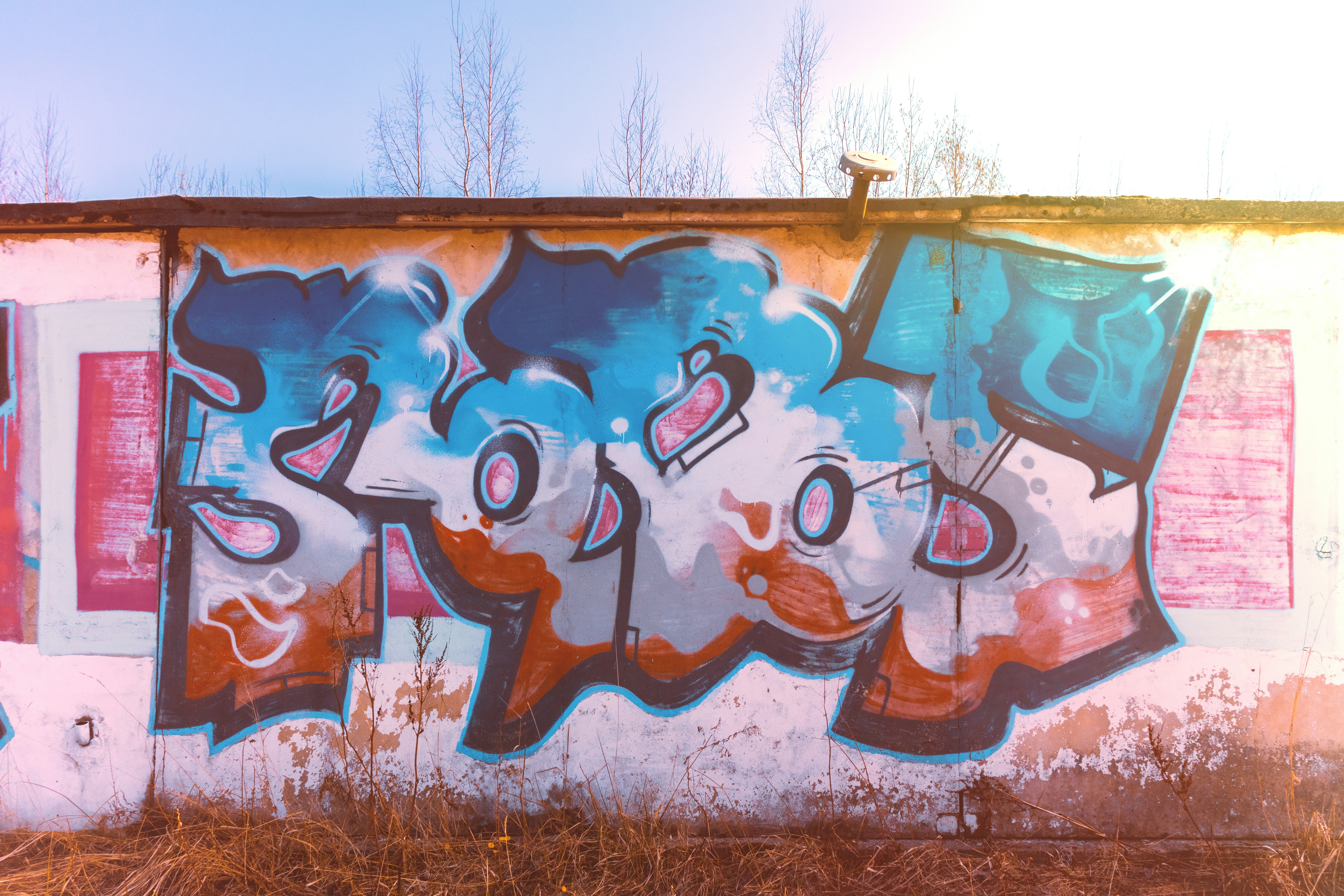 white and brown wall with graffiti
