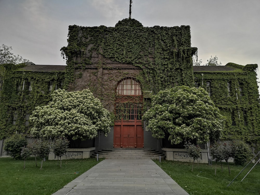 brown brick building with green plants on the side