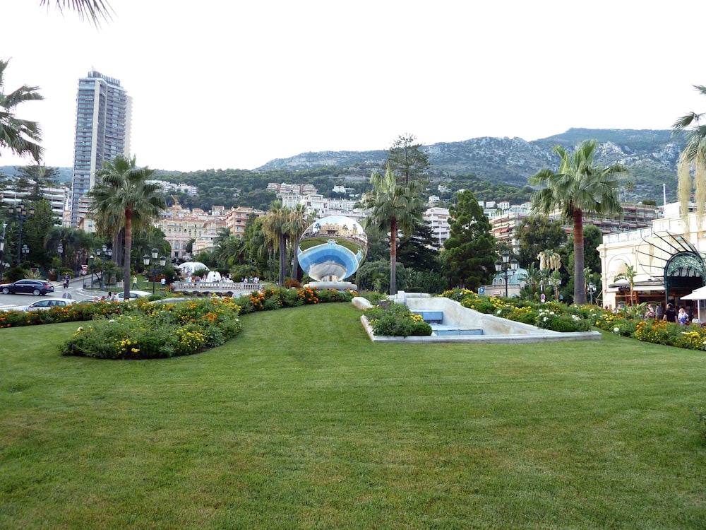 green grass field with trees and buildings in distance