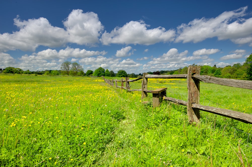 green grass field under blue sky during daytime