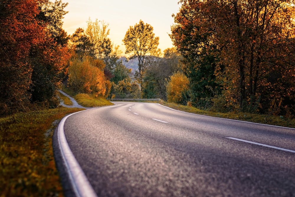 gray concrete road between green trees during daytime