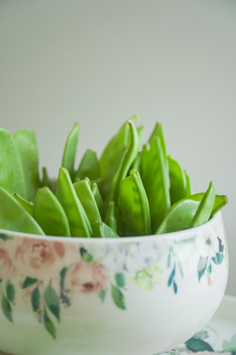 grüne Bohnen auf weißer und blauer Blumenkeramikschale