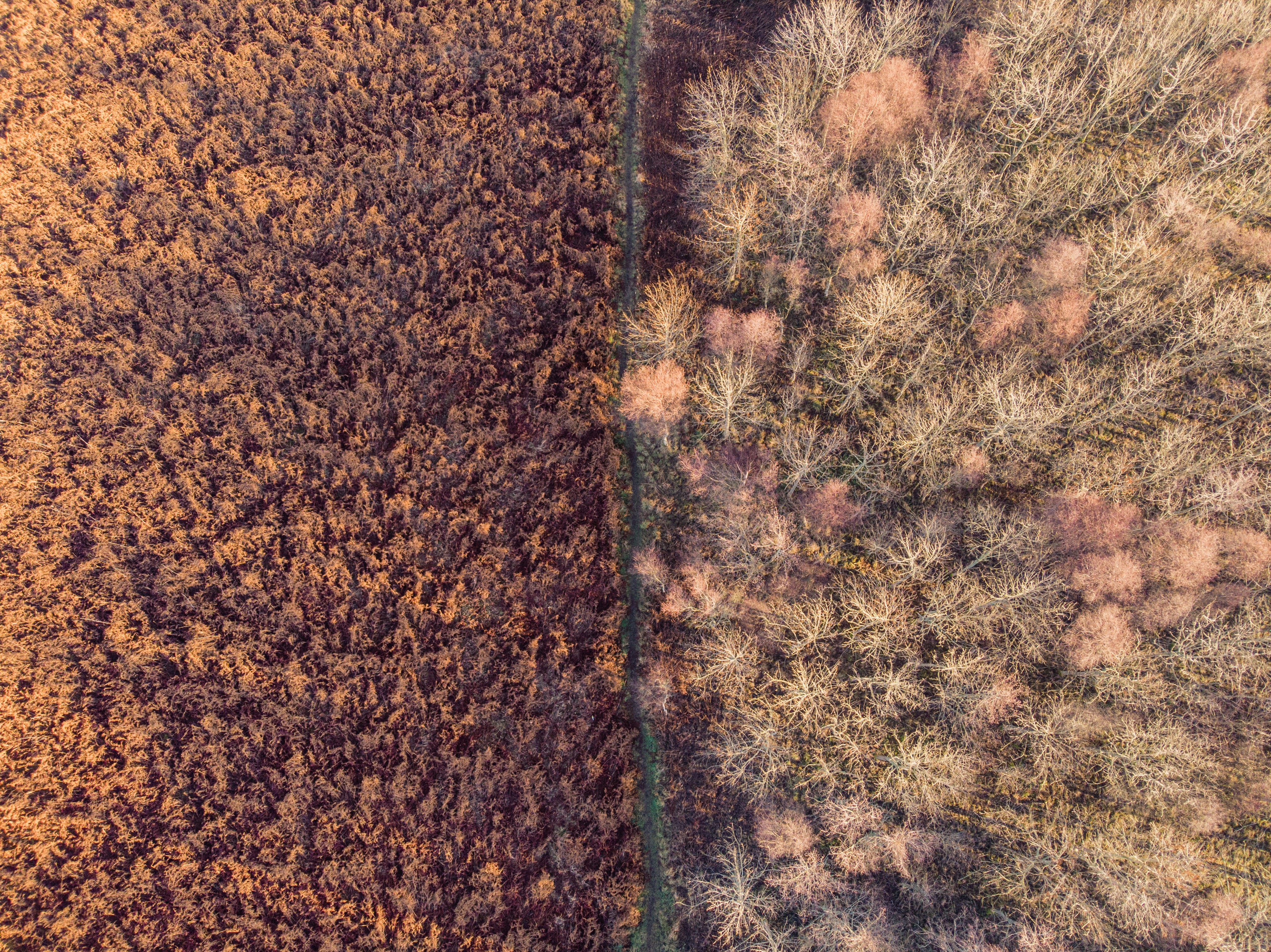 Photo by rossfindlay