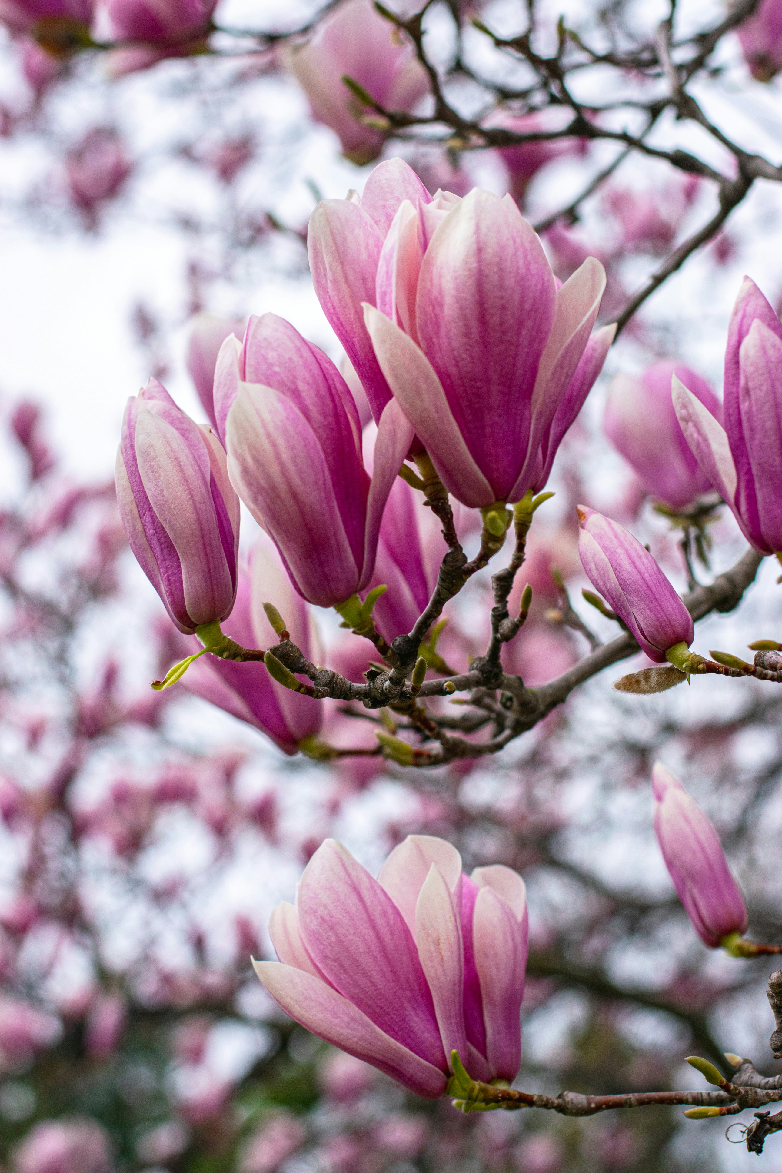 Photo by sandra_ruda