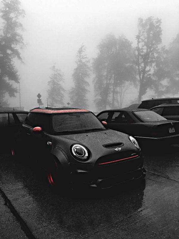 This one was taken in Russia, in Sochi. Tuning Mini Cooper. by Ivan Didenko