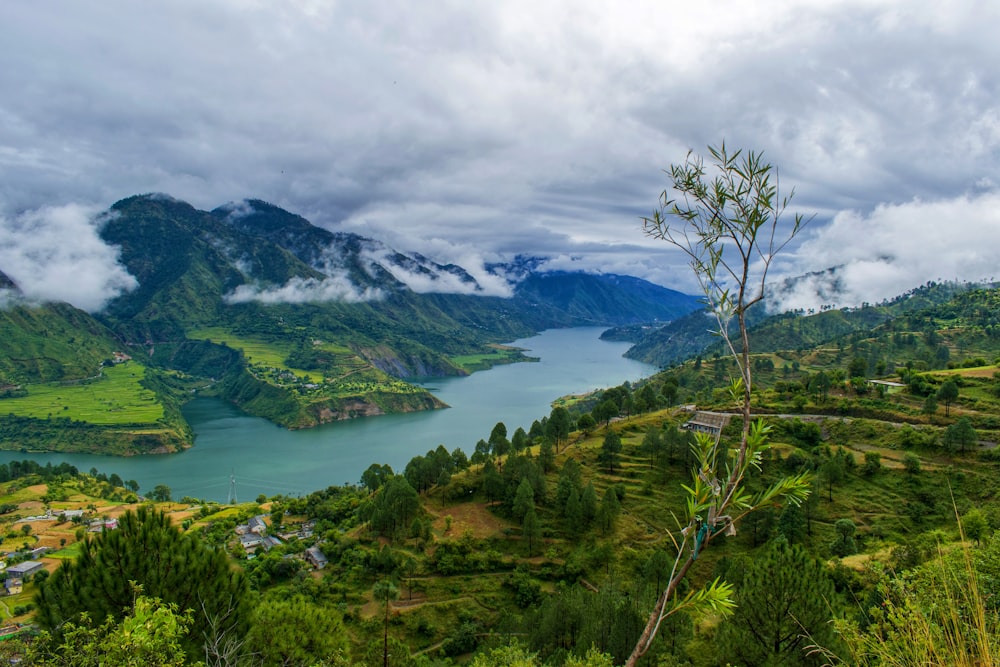 green trees near lake under cloudy sky during daytime