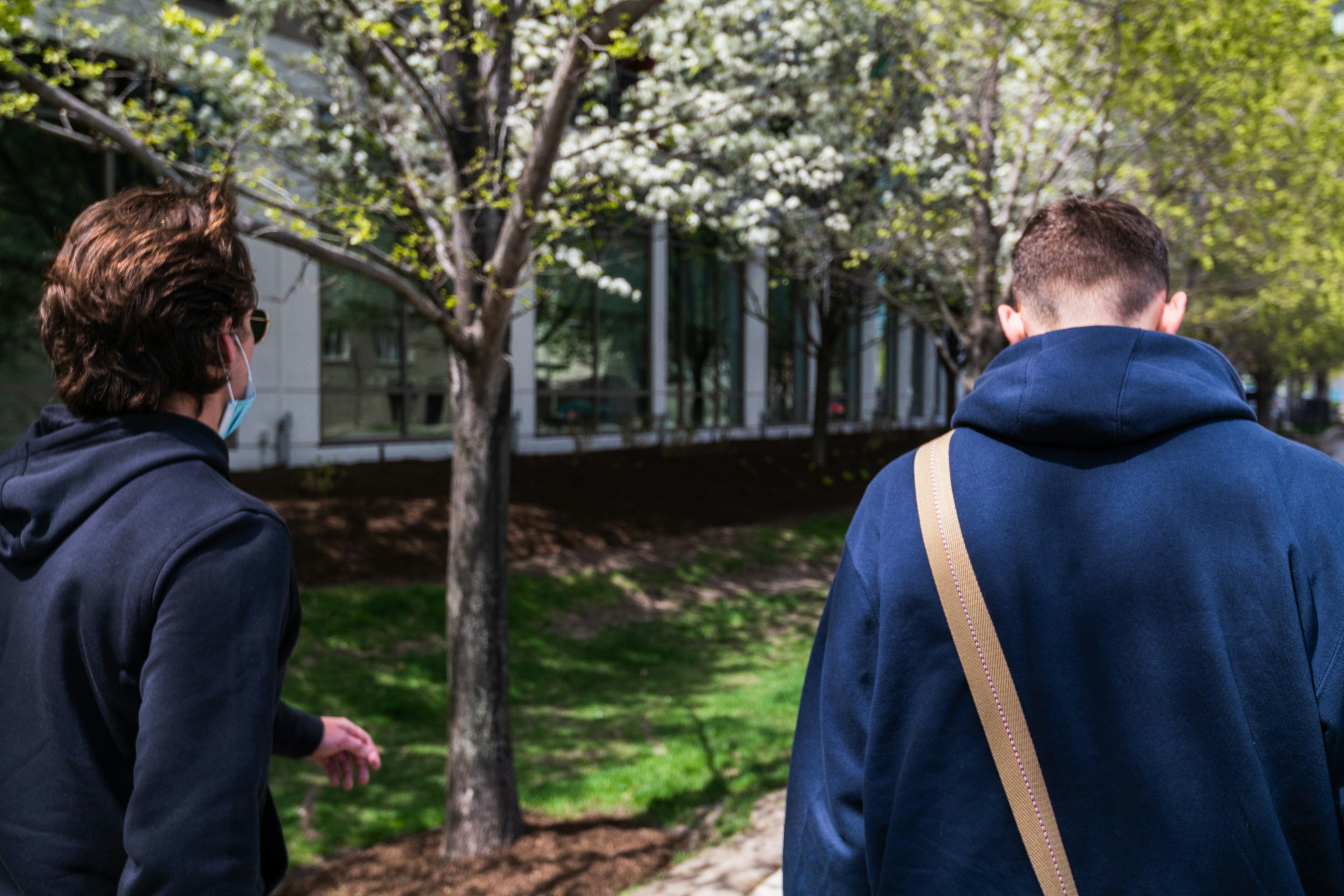 man in blue jacket standing near green trees during daytime