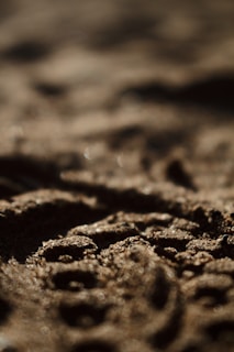 An elegant close-up of fine details in a warm white and soft sand abstract AI-generated print.