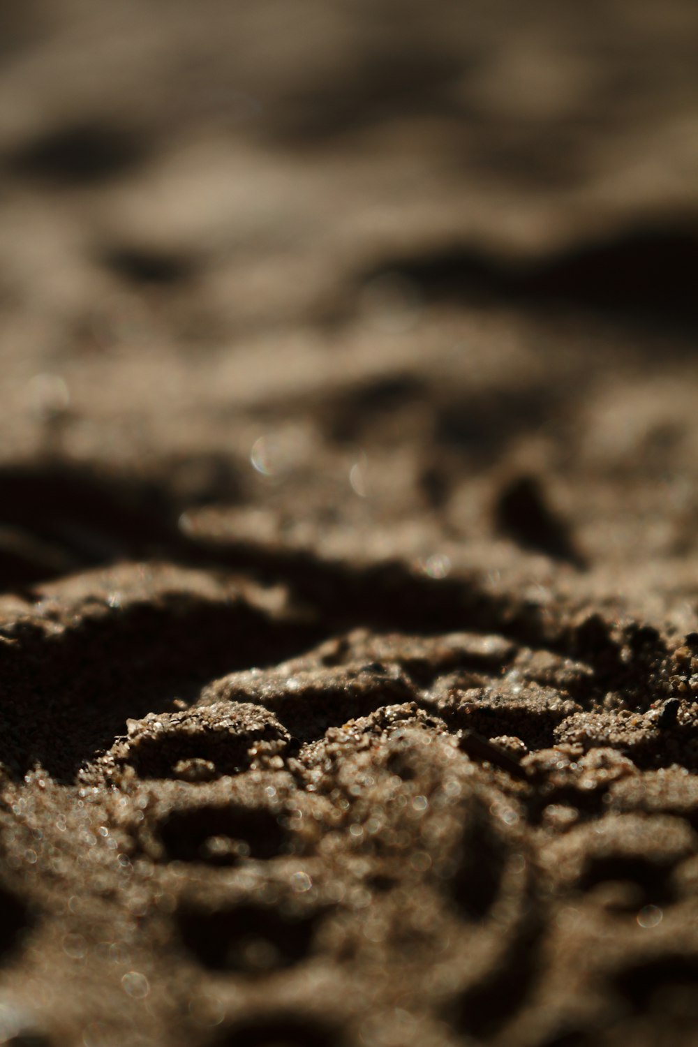 brown and black sand in macro shot