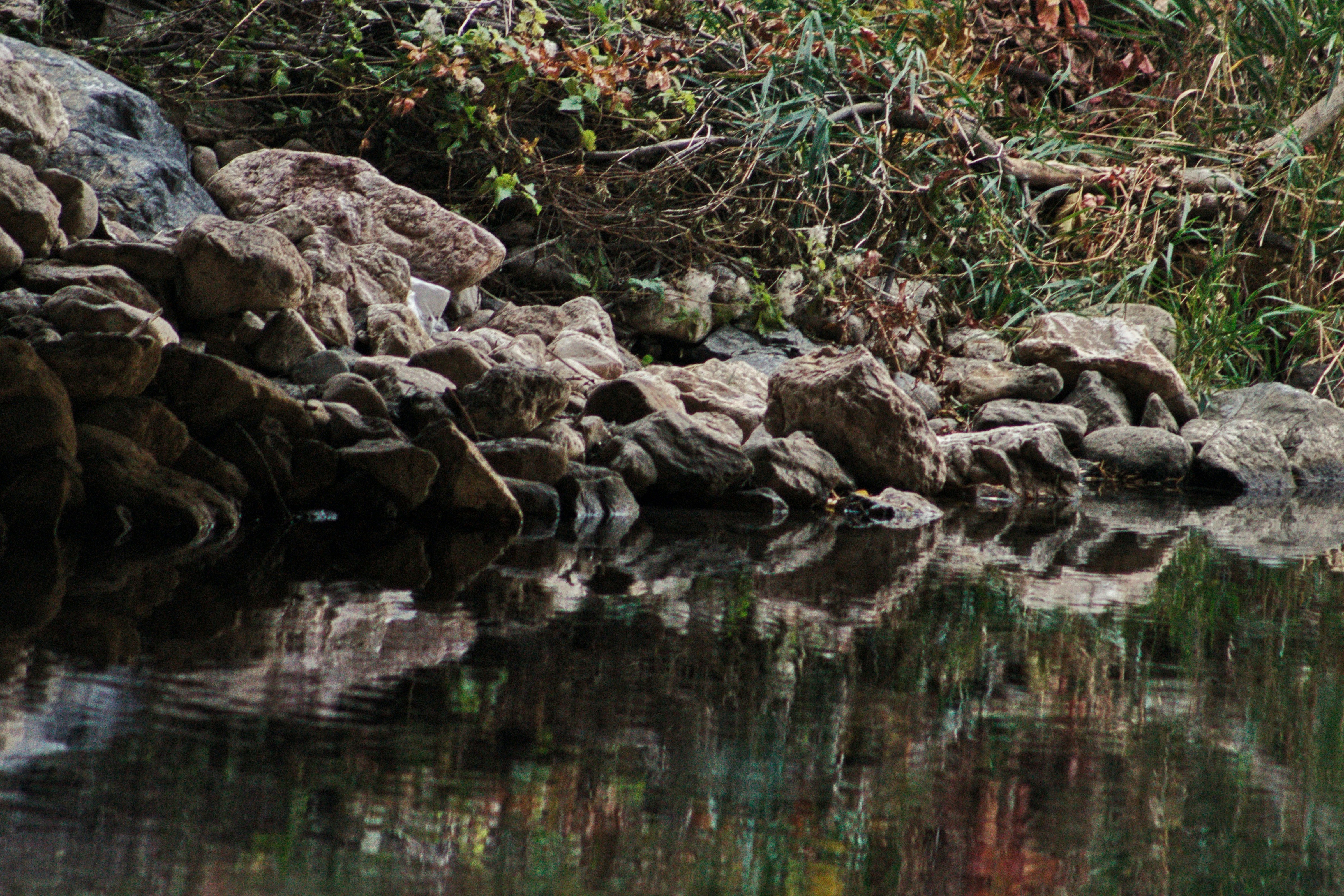 Photo by joshua_hoehne