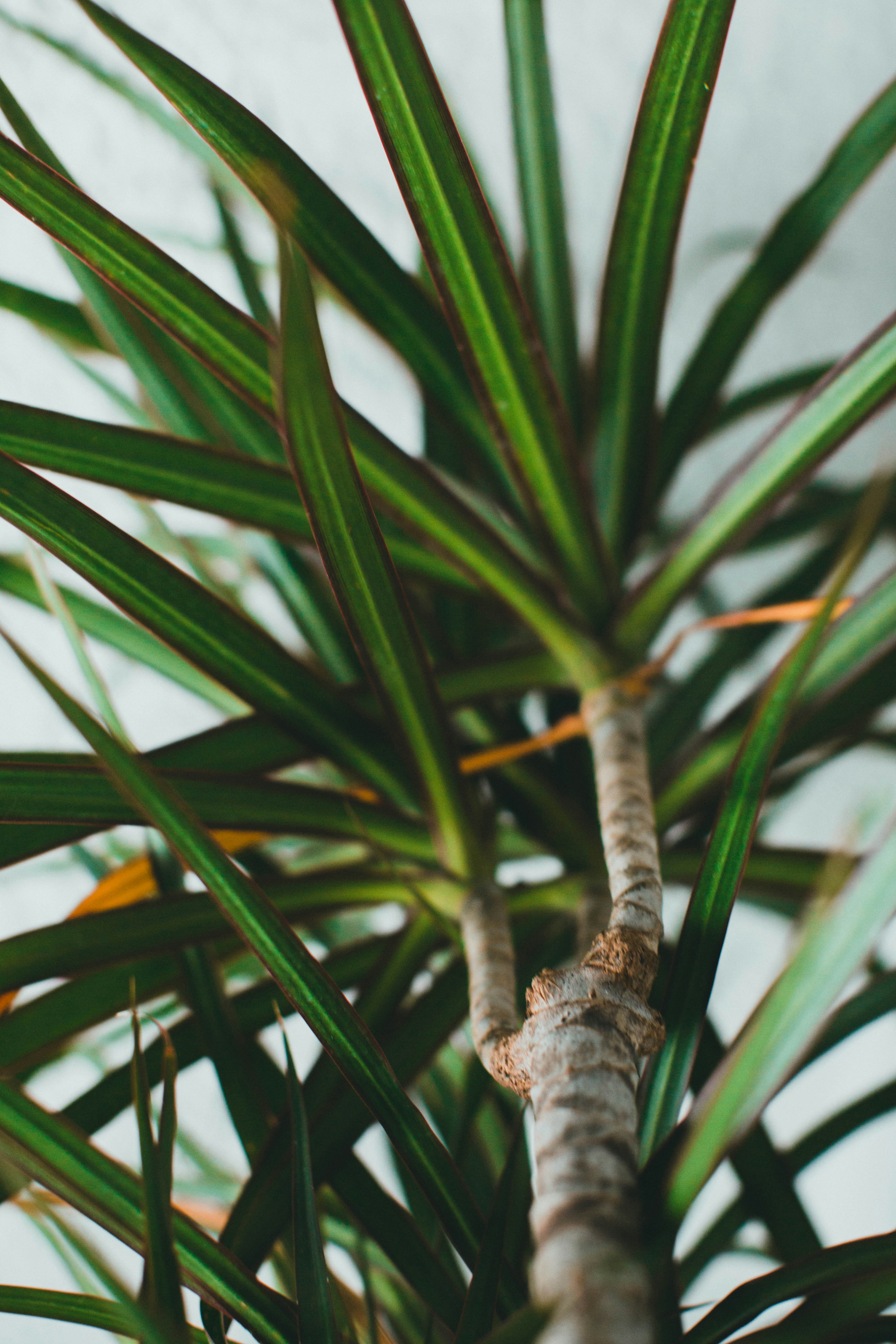 Photo by theshuttervision