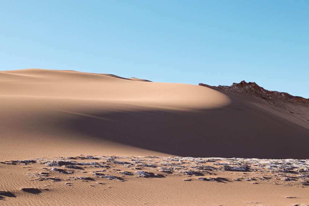 brown sand near body of water during daytime