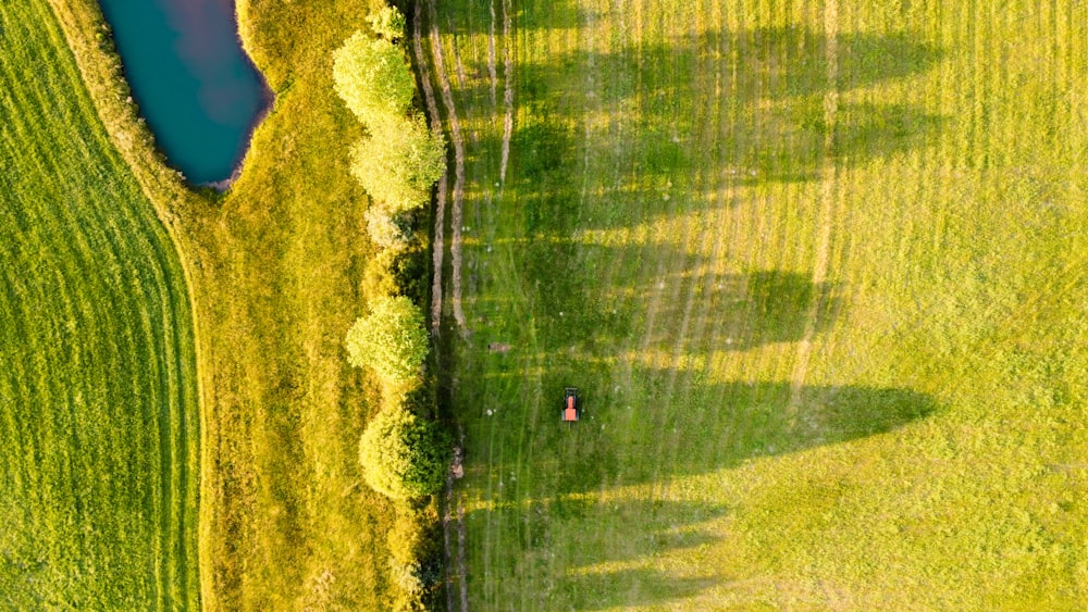 campo di erba verde durante il giorno