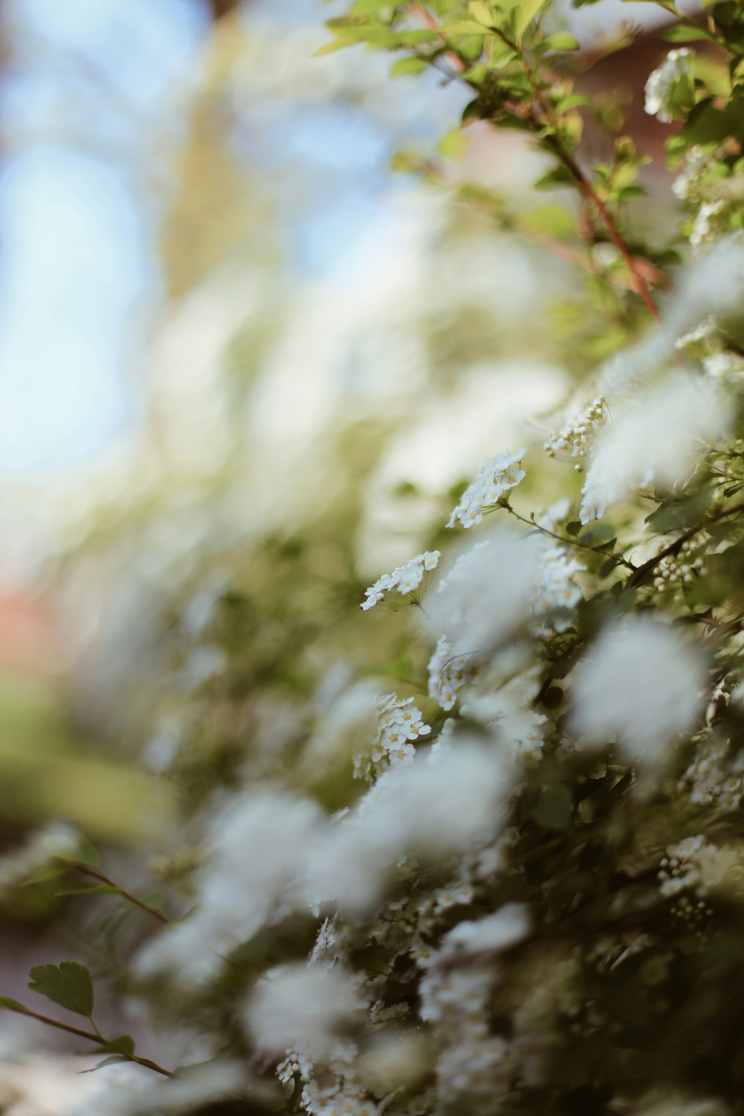 Photo by jessicalfadel