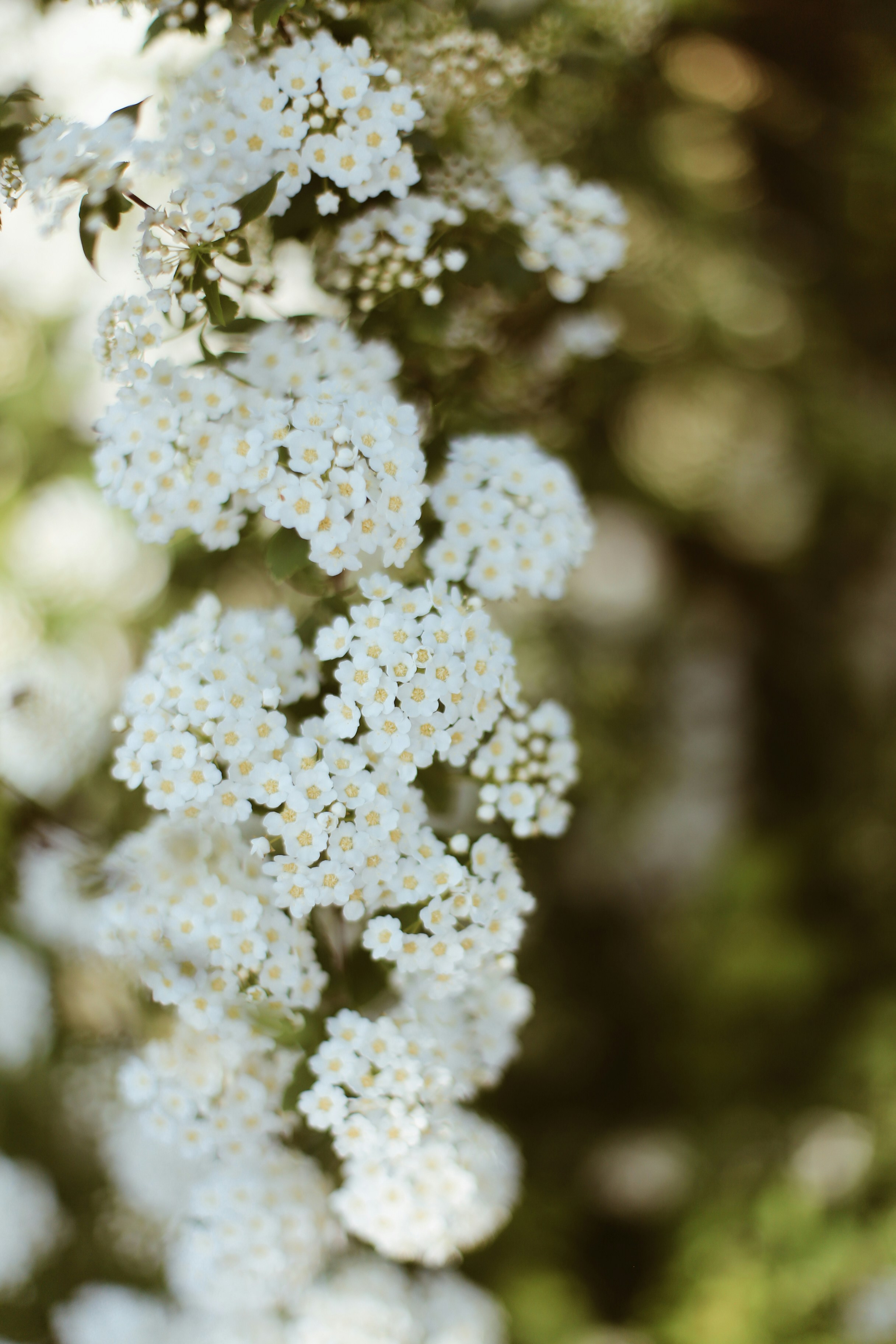 Photo by jessicalfadel