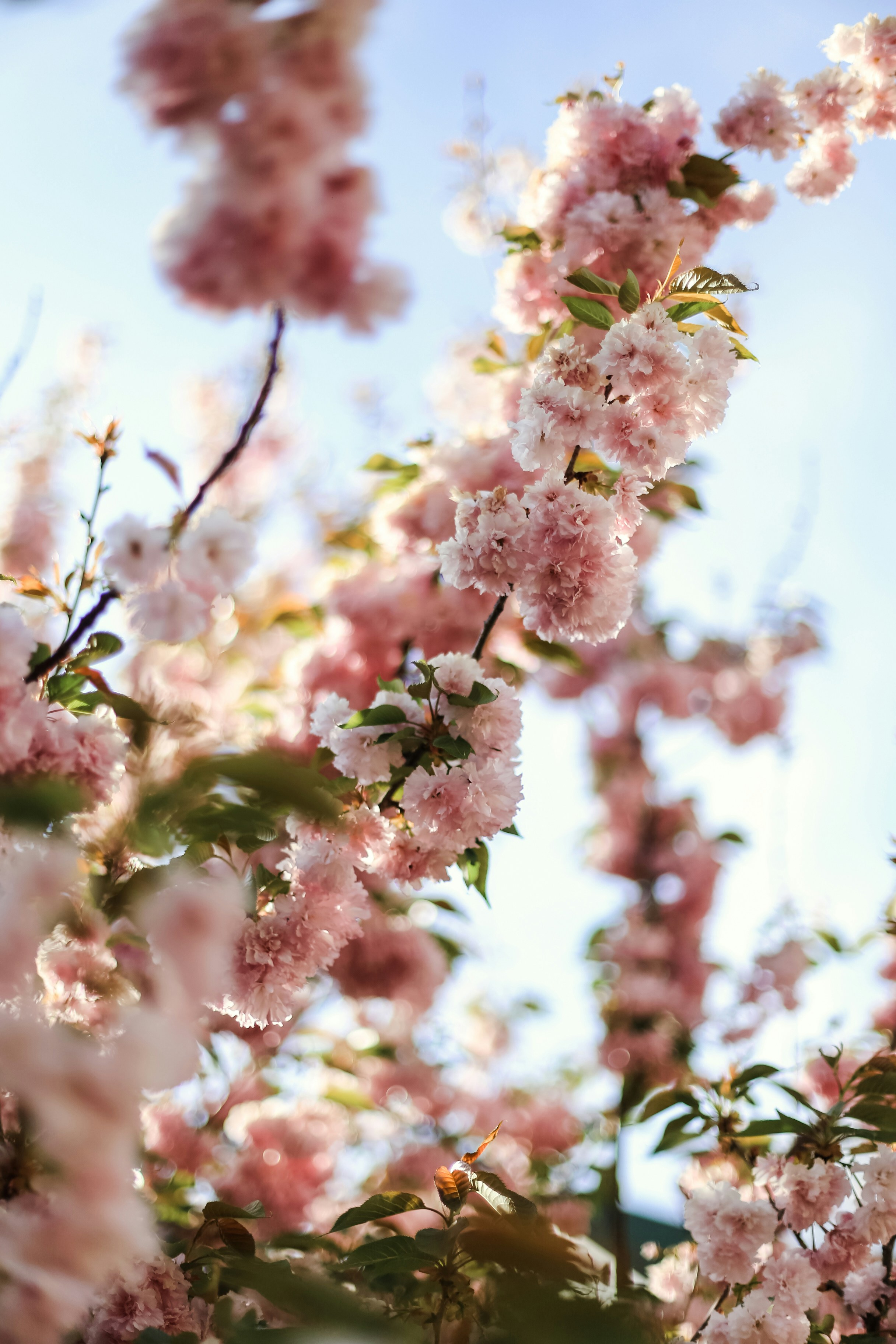 Photo by jessicalfadel