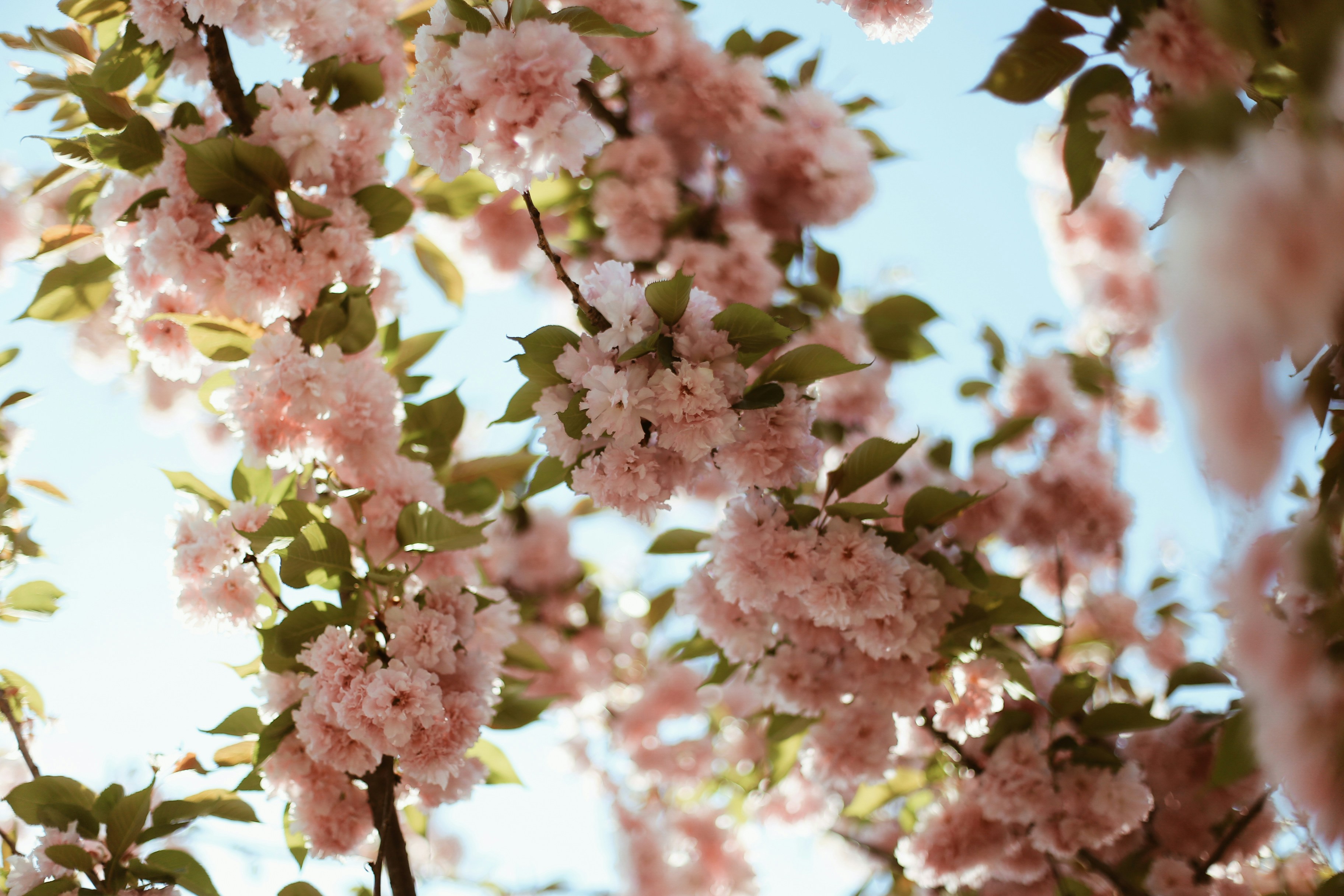 Photo by jessicalfadel