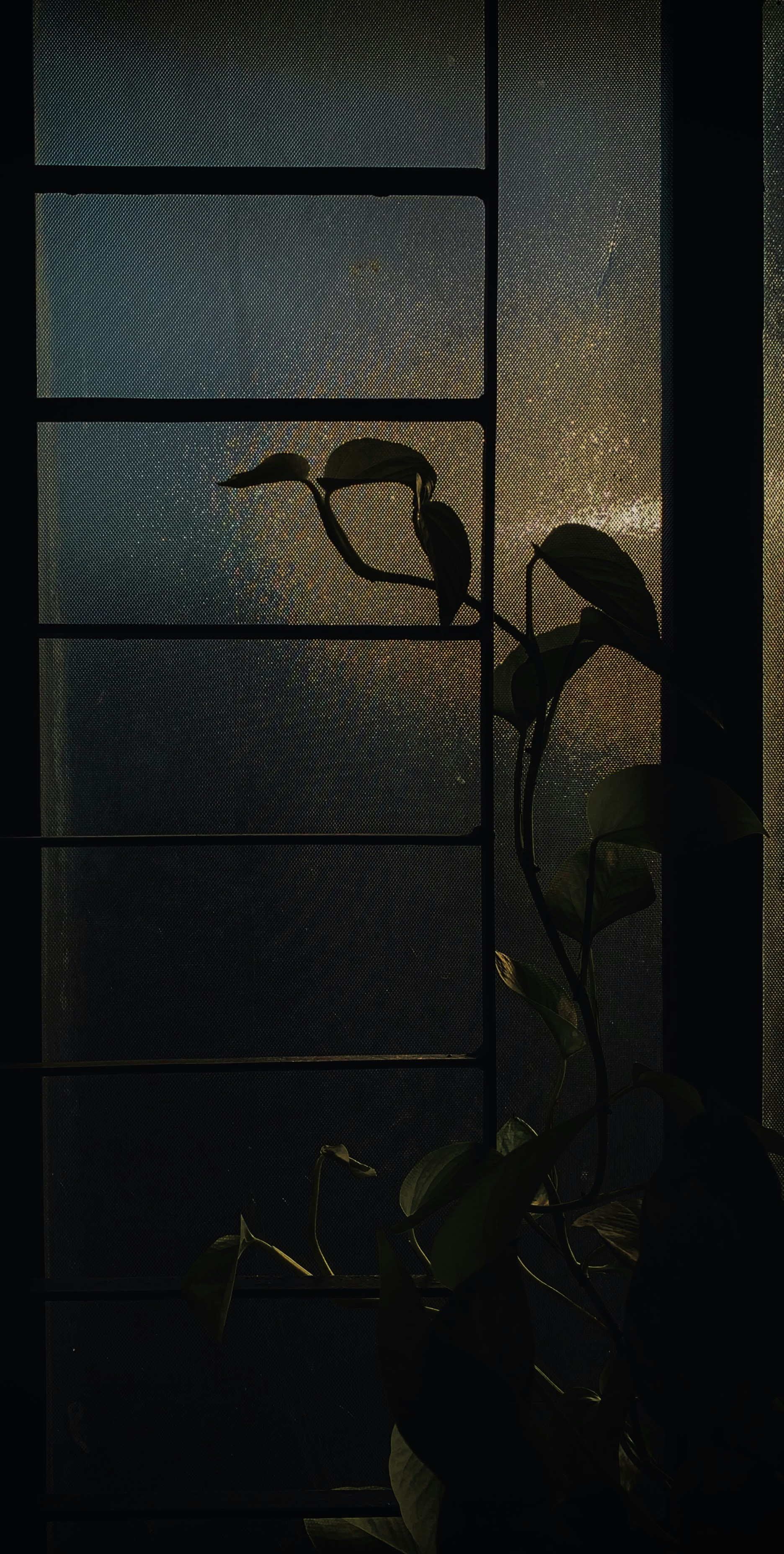 Photo by akshar_dave