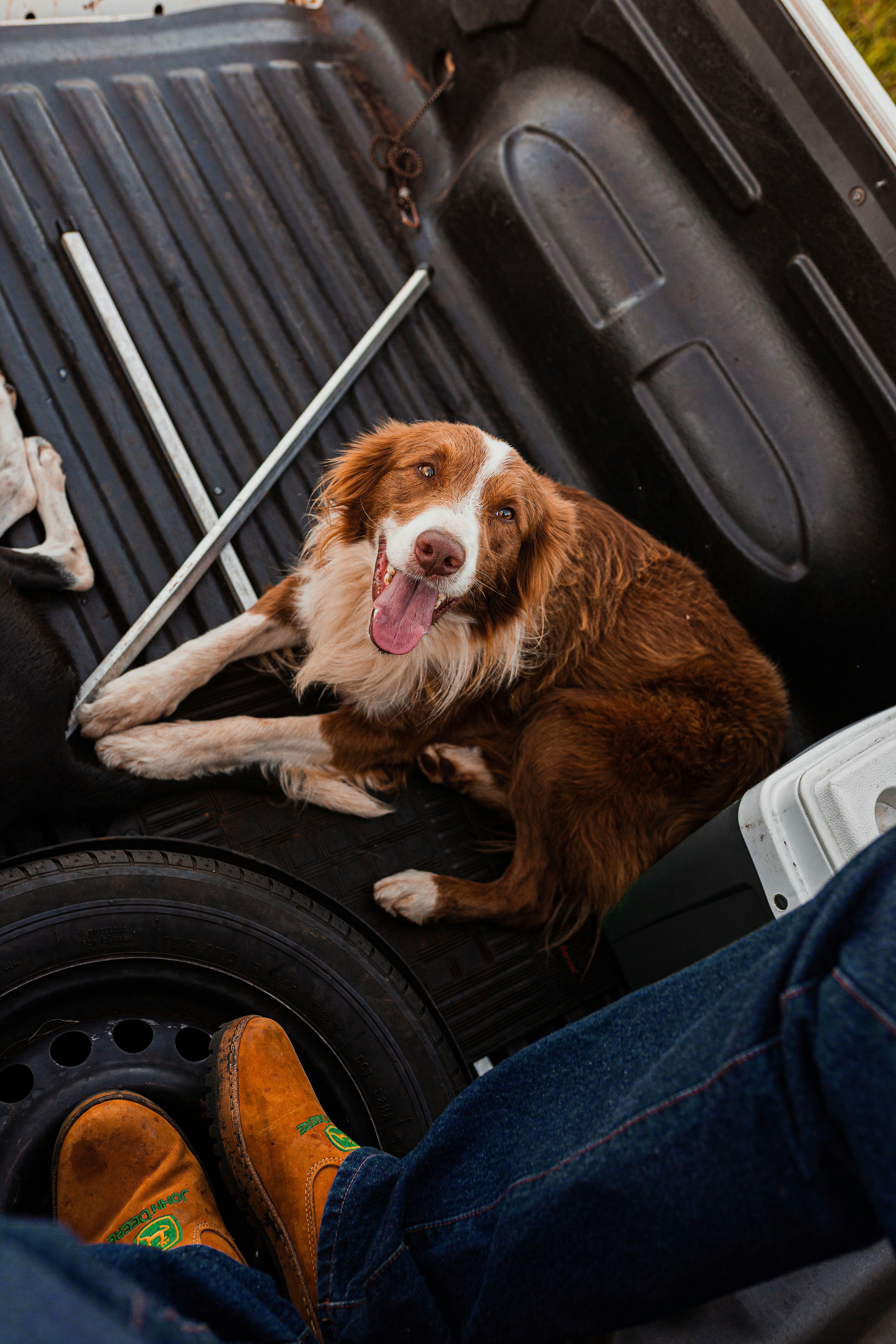 Photo by guilhermestecanella