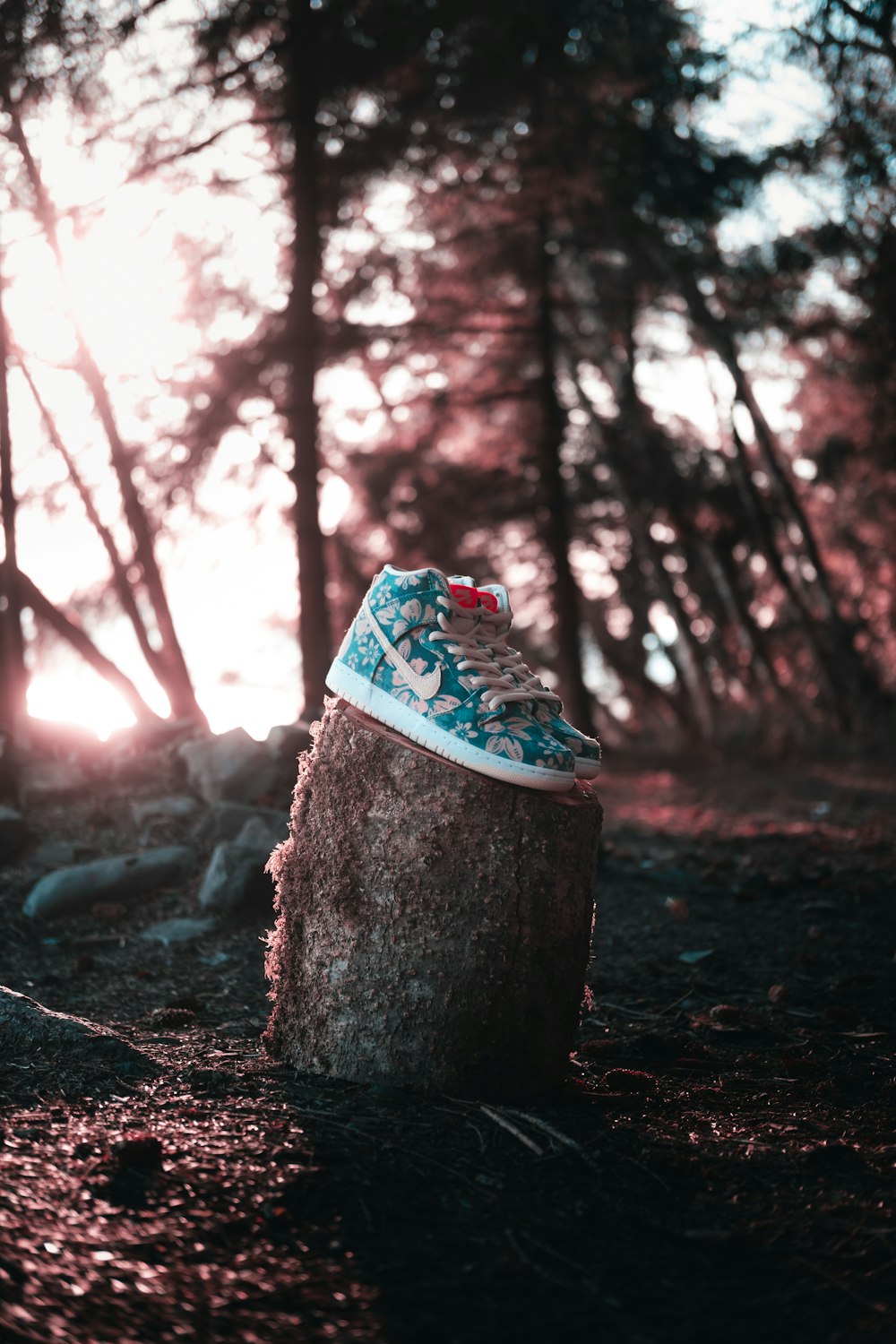 blue and white heart shaped rock on brown soil