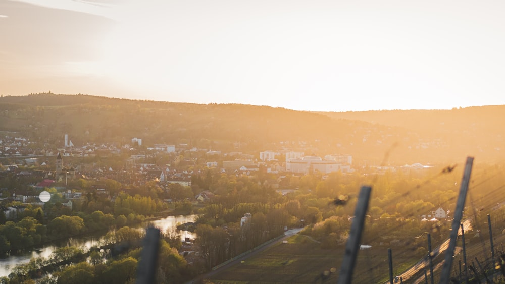 Grüne Bäume und braune Gebäude tagsüber