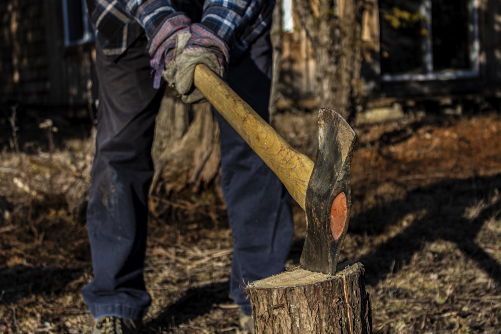 person holding brown wooden stick