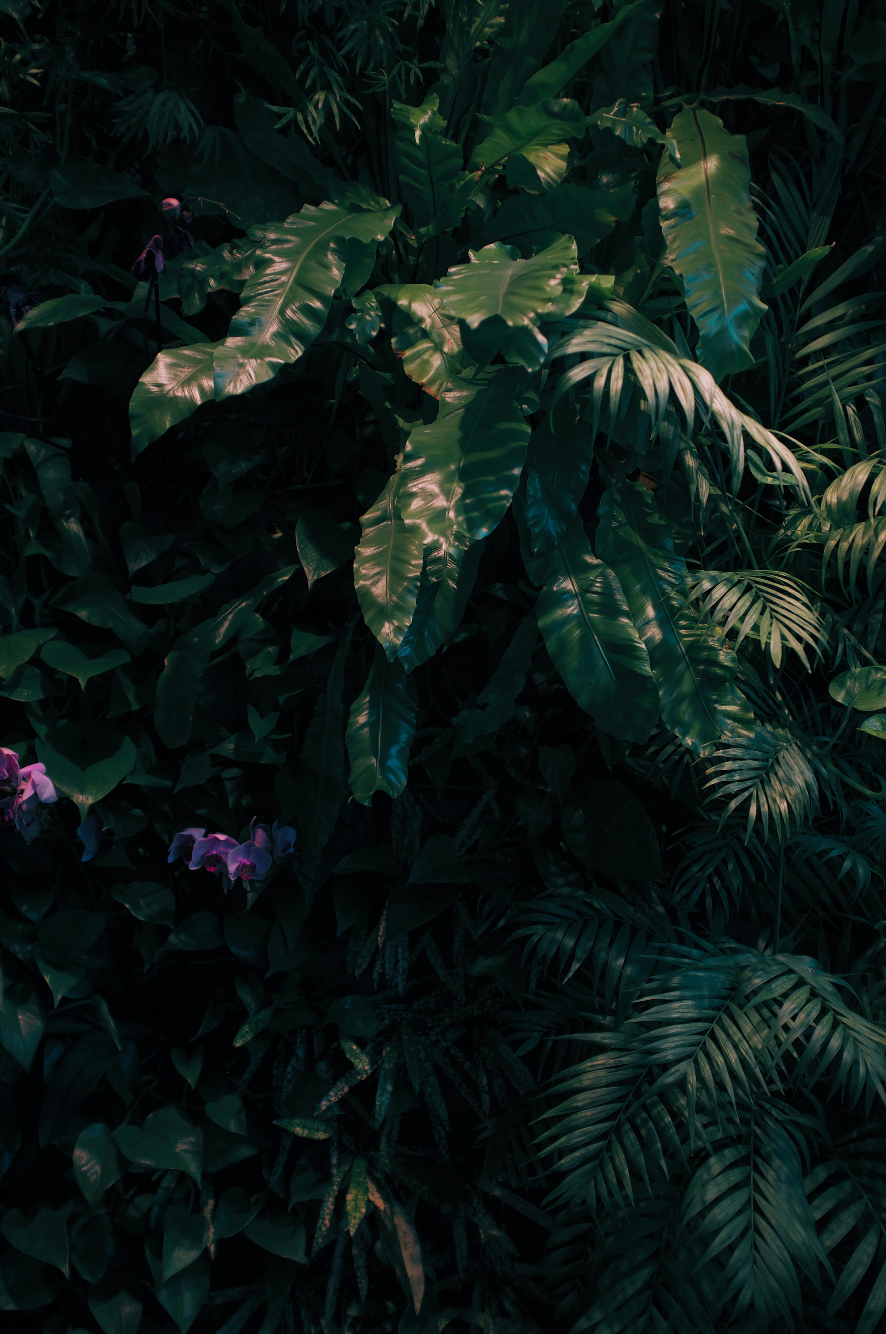 Photo by cherenkevich