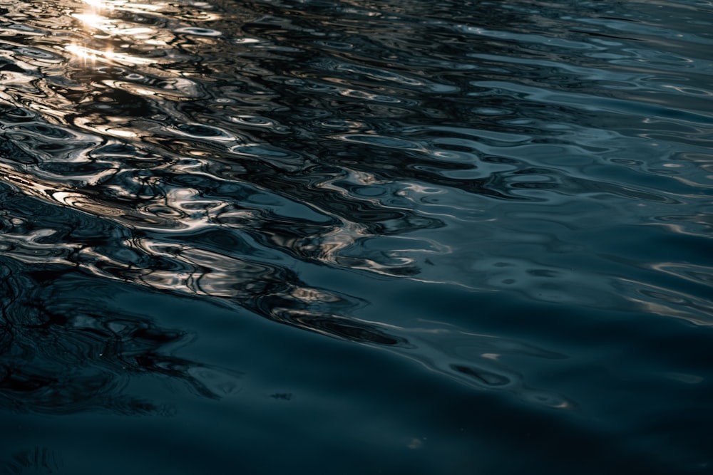 blue and white water during daytime