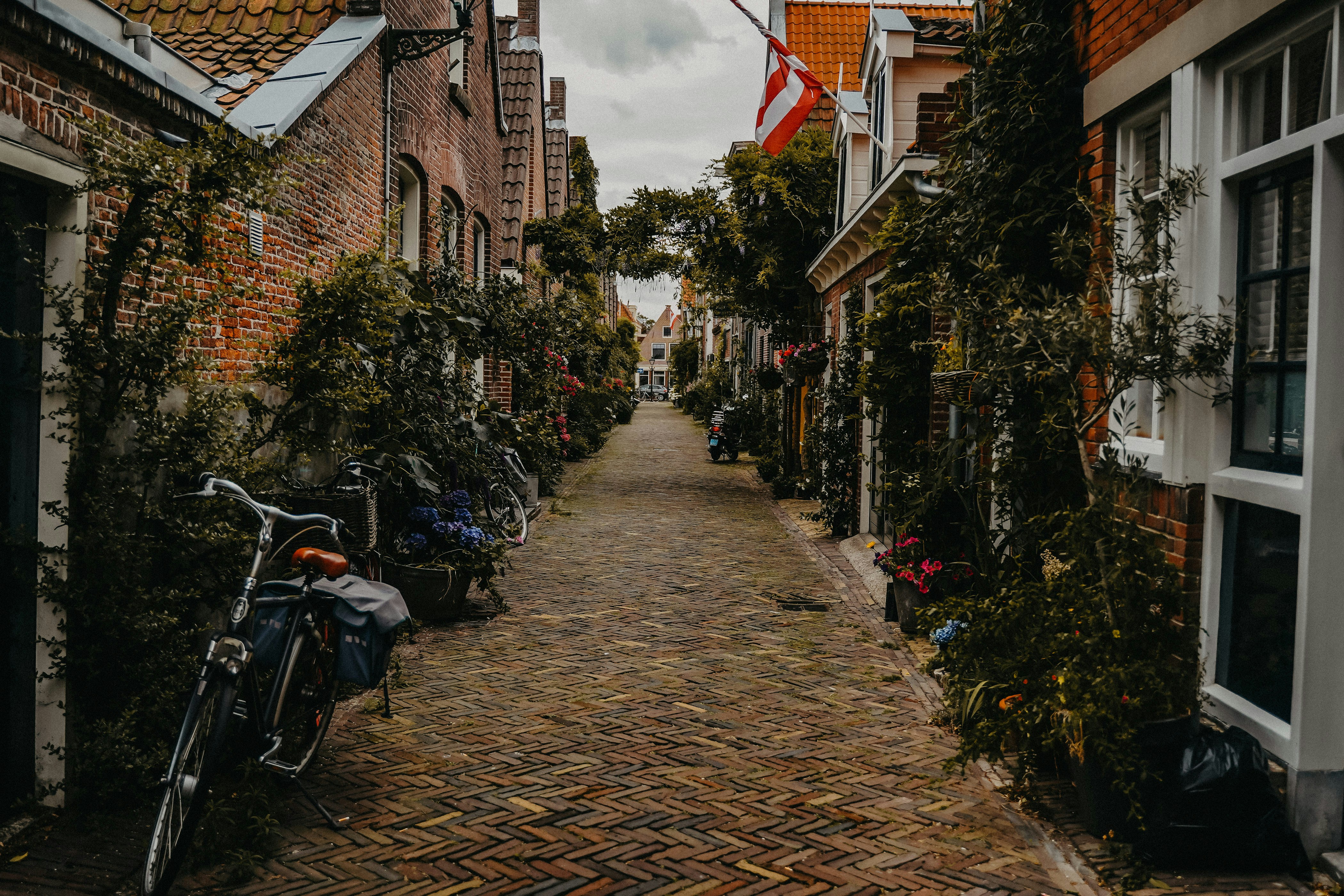 Photo by danieljulio