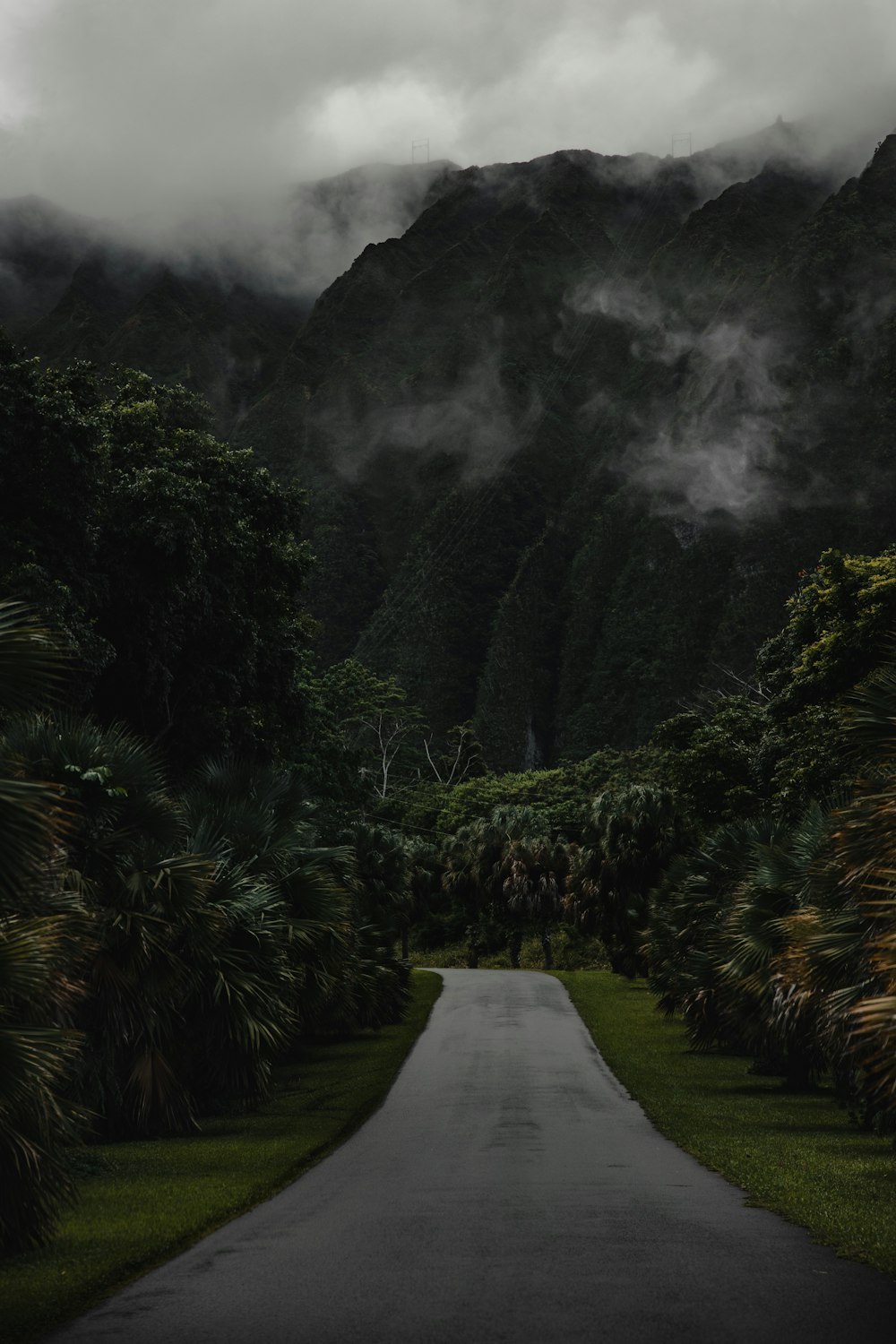 gray concrete road between green trees