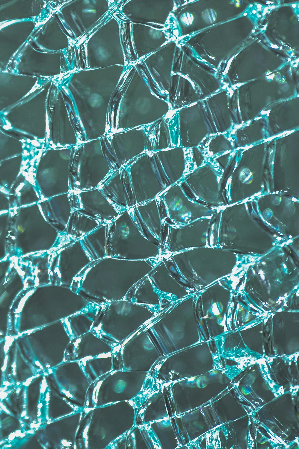 water droplets on spider web in close up photography