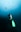 A scuba diver is submerged underwater, equipped with an oxygen tank and flippers. Bubbles are visible rising above their head. Several fish can be seen swimming in the background amidst the blue ocean water.