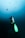 A scuba diver is submerged underwater, equipped with an oxygen tank and flippers. Bubbles are visible rising above their head. Several fish can be seen swimming in the background amidst the blue ocean water.