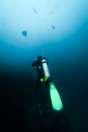 A scuba diver is submerged underwater, equipped with an oxygen tank and flippers. Bubbles are visible rising above their head. Several fish can be seen swimming in the background amidst the blue ocean water.