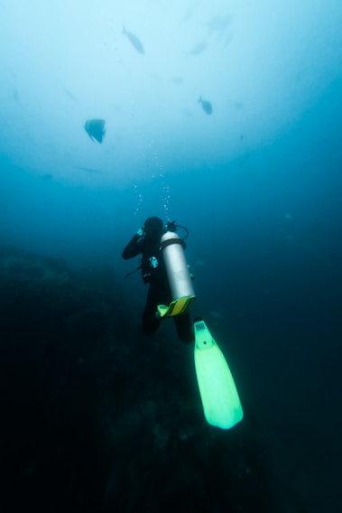 A scuba diver is submerged underwater, equipped with an oxygen tank and flippers. Bubbles are visible rising above their head. Several fish can be seen swimming in the background amidst the blue ocean water.