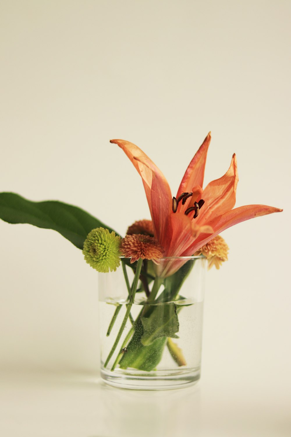 orange flower in clear glass vase