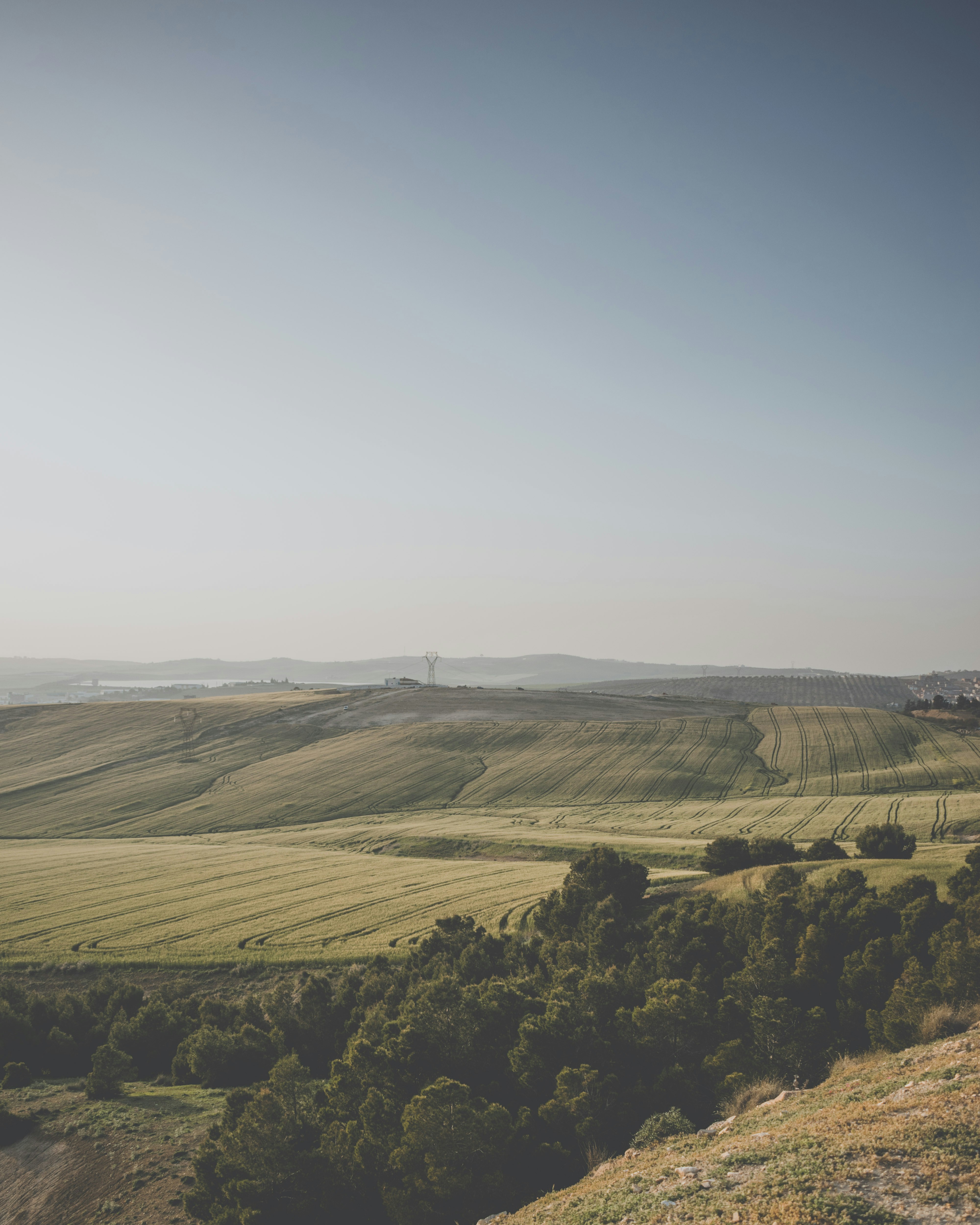 Photo by bilal_ayadi