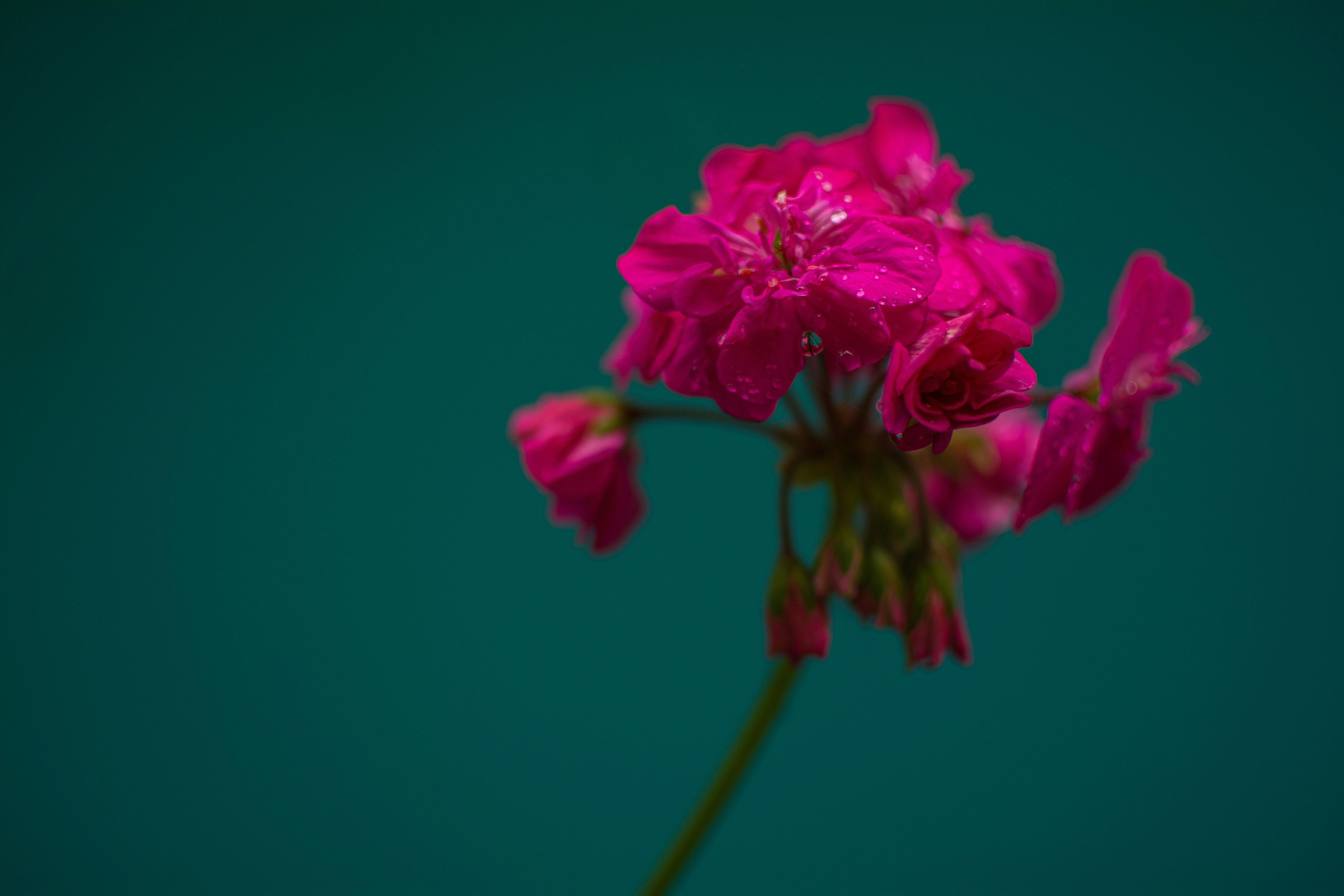 Photo by bryanjose23